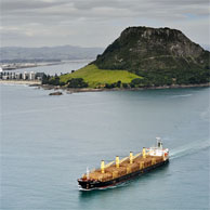 Jonathan Barran Forestry Photography, Forest Photographer in Rotorua NZ