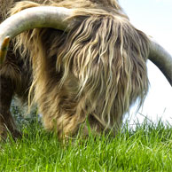 Jonathan Barran Agriculture Photography, Agriculture Photographer in Rotorua NZ