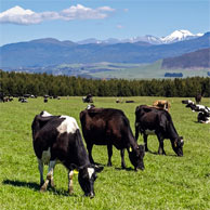 Jonathan Barran Agriculture Photography, Agriculture Photographer in Rotorua NZ