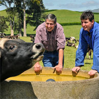 Jonathan Barran Agriculture Photography, Agriculture Photographer in Rotorua NZ