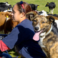 Jonathan Barran Agriculture Photography, Agriculture Photographer in Rotorua NZ