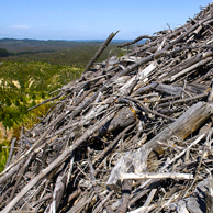 Jonathan Barran Bioenergy Photography, Bioenergy Photographer in Rotorua NZ