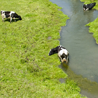 Jonathan Barran Clean Streams Photography, Clean Streams Photographer in Rotorua NZ