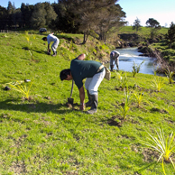 Jonathan Barran Clean Streams Photography, Clean Streams Photographer in Rotorua NZ