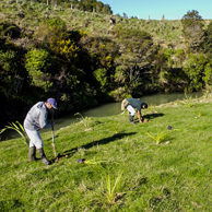 Jonathan Barran Clean Streams Photography, Clean Streams Photographer in Rotorua NZ