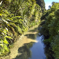 Jonathan Barran Clean Streams Photography, Clean Streams Photographer in Rotorua NZ