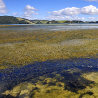 Jonathan Barran Environment Photography, Environment Photographer in Rotorua NZ