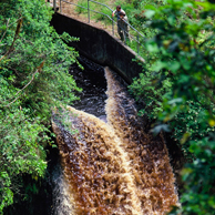 Jonathan Barran Environment Photography, Environment Photographer in Rotorua NZ