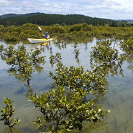 Jonathan Barran Environment Photography, Environment Photographer in Rotorua NZ