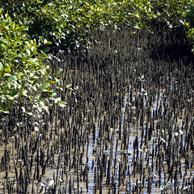 Jonathan Barran Environment Photography, Environment Photographer in Rotorua NZ