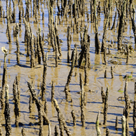 Jonathan Barran Environment Photography, Environment Photographer in Rotorua NZ