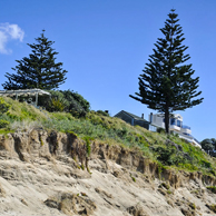 Jonathan Barran Environment Photography, Environment Photographer in Rotorua NZ