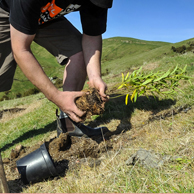 Jonathan Barran Farm Forestry Photography, Farm Forestry Photographer in Rotorua NZ