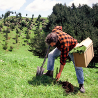 Jonathan Barran Farm Forestry Photography, Farm Forestry Photographer in Rotorua NZ