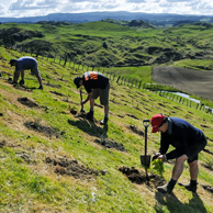 Jonathan Barran Farm Forestry Photography, Farm Forestry Photographer in Rotorua NZ