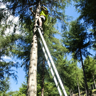 Jonathan Barran Farm Forestry Photography, Farm Forestry Photographer in Rotorua NZ