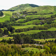 Jonathan Barran Farm Forestry Photography, Farm Forestry Photographer in Rotorua NZ