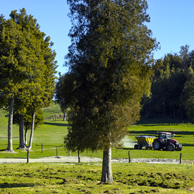 Jonathan Barran Farm Forestry Photography, Farm Forestry Photographer in Rotorua NZ