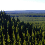 Jonathan Barran Forestry Photography, Forestry Photographer in Rotorua NZ