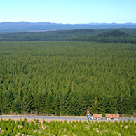 Jonathan Barran Forestry Photography, Forestry Photographer in Rotorua NZ