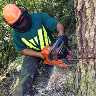 Jonathan Barran Forestry Photography, Forestry Photographer in Rotorua NZ