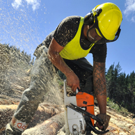 Jonathan Barran Forestry Photography, Forestry Photographer in Rotorua NZ