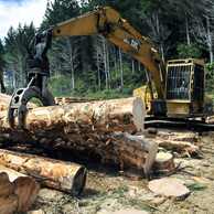 Jonathan Barran Forestry Photography, Forestry Photographer in Rotorua NZ