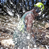 Jonathan Barran Forestry Photography, Forestry Photographer in Rotorua NZ