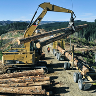 Jonathan Barran Forestry Photography, Forestry Photographer in Rotorua NZ