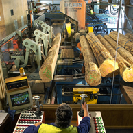 Jonathan Barran Forestry Photography, Forestry Photographer in Rotorua NZ