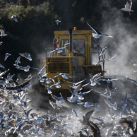 Jonathan Barran Landfill Photography, NZ Landfill Photographer in Rotorua NZ