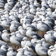 Jonathan Barran Landfill Photography, NZ Landfill Photographer in Rotorua NZ