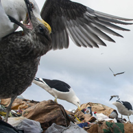 Jonathan Barran Landfill Photography, NZ Landfill Photographer in Rotorua NZ