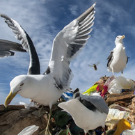 Jonathan Barran Landfill Photography, NZ Landfill Photographer in Rotorua NZ