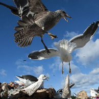 Jonathan Barran Landfill Photography, NZ Landfill Photographer in Rotorua NZ