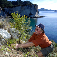 Jonathan Barran NZ Native Trees Photography, NZ Native Trees Photographer in Rotorua NZ