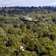 Jonathan Barran Pest Control Photography, Pest Control Photographer in Rotorua NZ