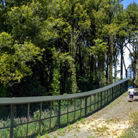 Jonathan Barran Pest Control Photography, Pest Control Photographer in Rotorua NZ