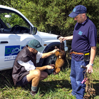 Jonathan Barran Pest Control Photography, Pest Control Photographer in Rotorua NZ