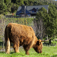 Jonathan Barran Real Estate Photography, NZ Real Estate Photographer in Rotorua NZ