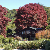 Jonathan Barran Real Estate Photography, NZ Real Estate Photographer in Rotorua NZ