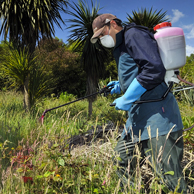 Jonathan Barran Weeds Photography, Weeds Photographer in Rotorua NZ