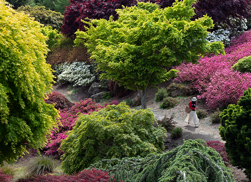 Jonathan Barran Photography, Photographer in Rotorua NZ