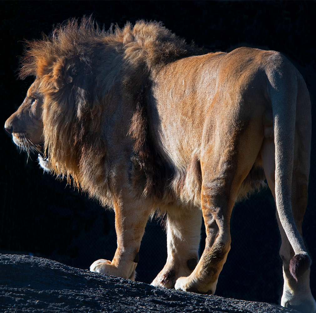 Jonathan Barran Photography, Photographer in Rotorua NZ